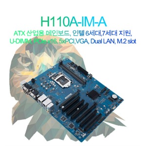 H110A-IM-A